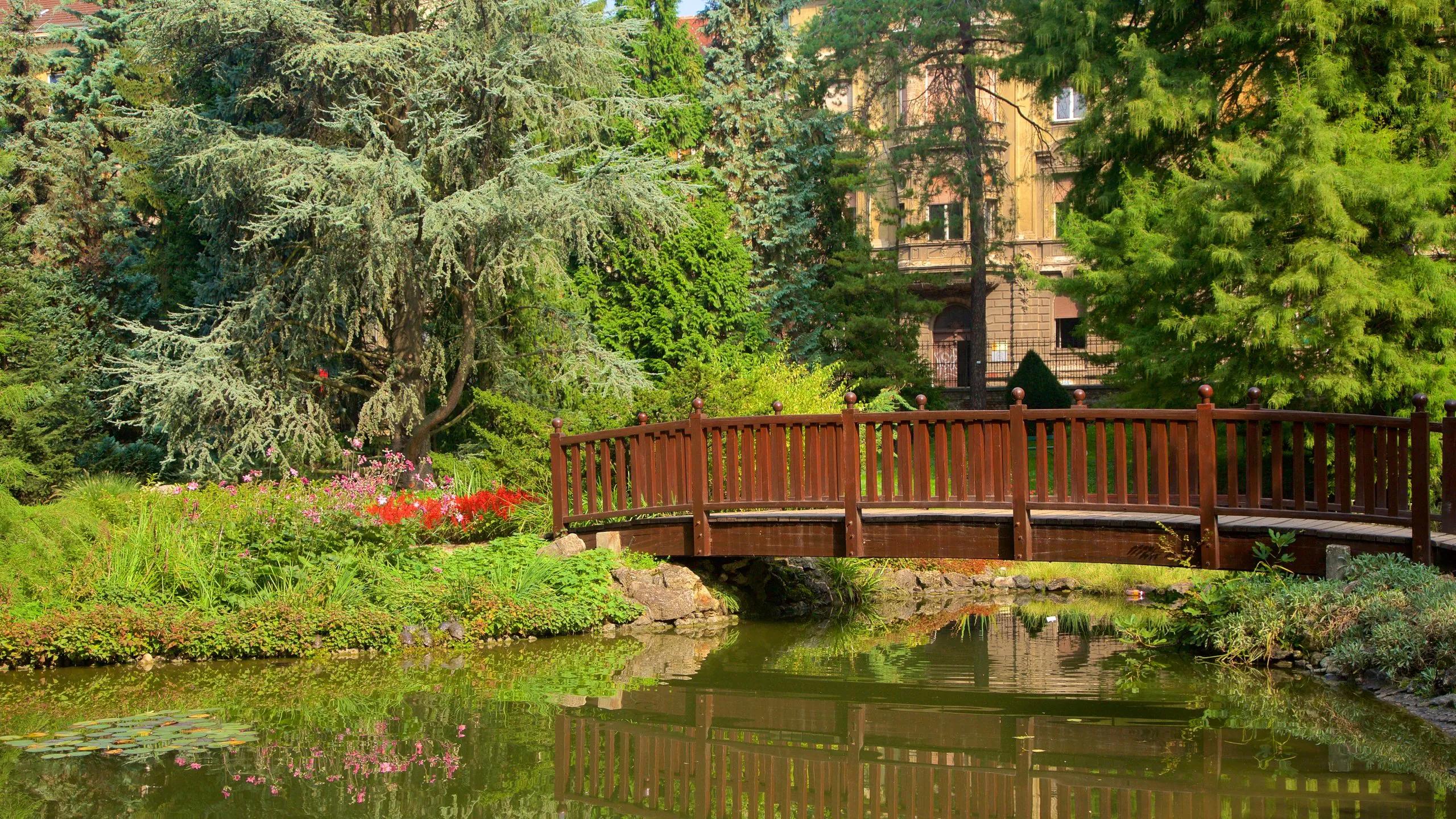 🌿 자그레브 대학교 과학부 식물원(보타니치키 브르트)